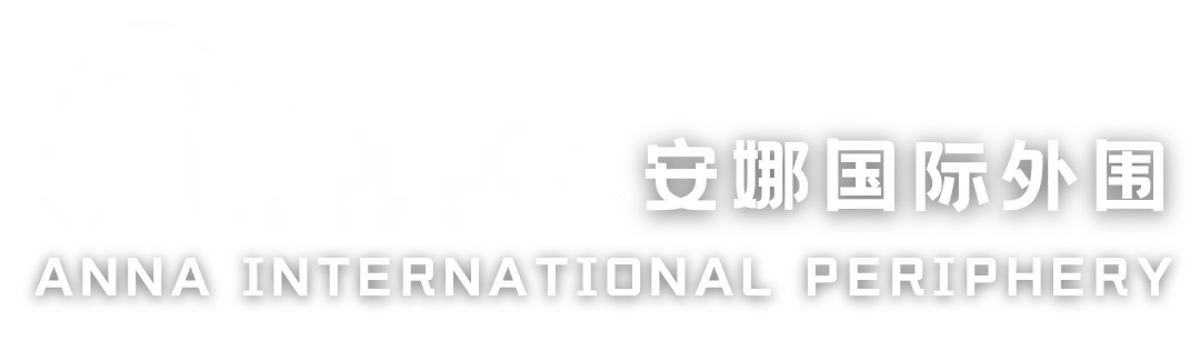 安娜国际